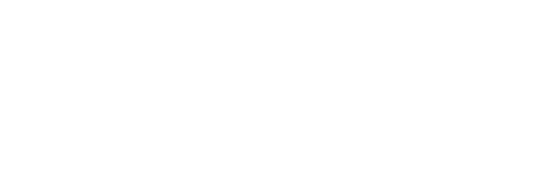 The original logo for STC store